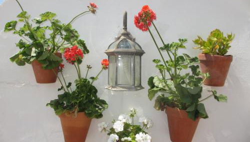 Junto a la casa natal de Picasso - Foto 5