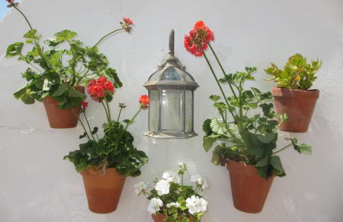 Junto a la casa natal de Picasso - Photo 5