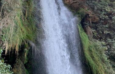 Monasteriohome Apto3 - Photo 13