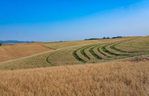 VILLA DI CAMPAGNA 10 POSTI CON PISCINA PRIVATA - Foto 56