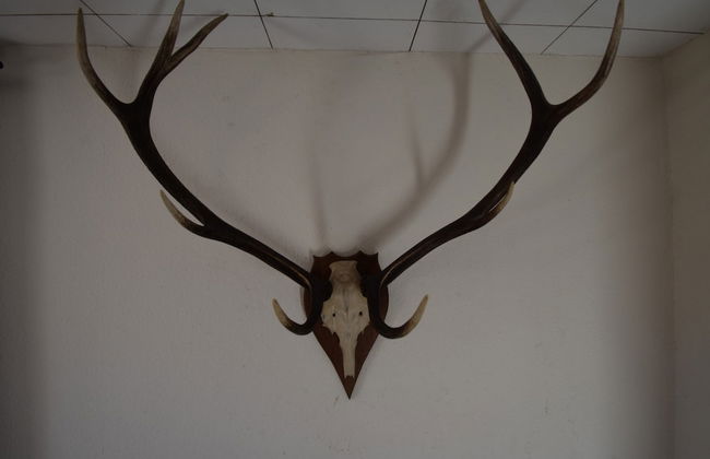 Cottage in Kuchelscheid With Terrace - Photo 29