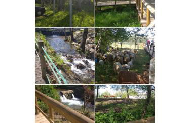 Casa do Cascão - Foto 22