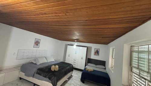 Apes Raizes Douradas - Foto 5