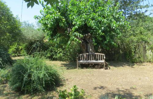 Le Grès 313 - Photo 38