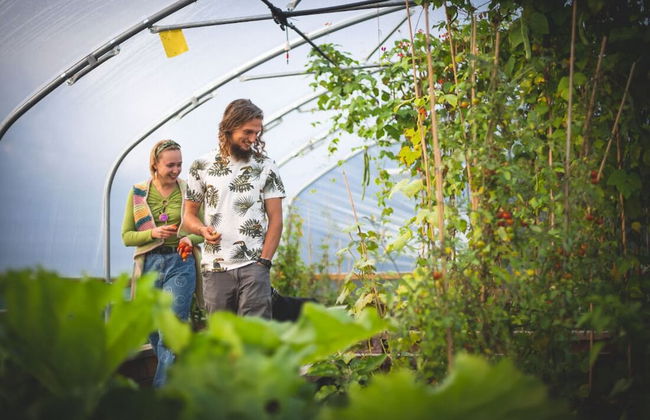 Zen Jungle Retreat - Foto 41