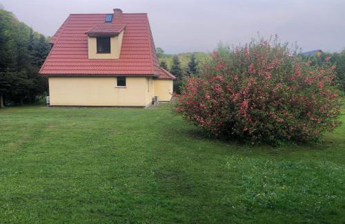 Zielony Zakątek - Foto 8