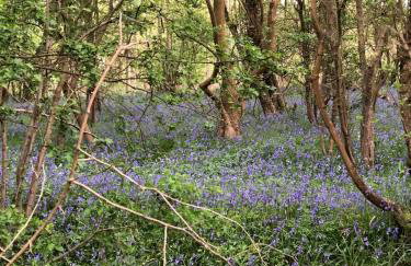 Cosy one bedroom flat in a country house - Foto 15