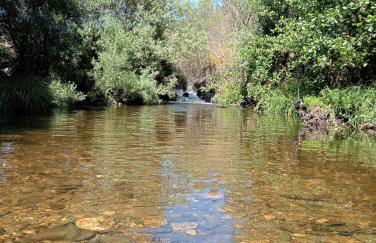 Casinha das Estrelas - Foto 35