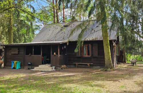 Dom z linią brzegową Narwi 3 - Photo 4