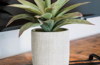 Modern Missoula Bungalow - Foto 10