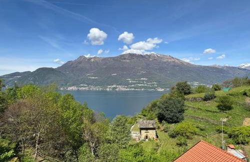 The House of Love - Foto 6