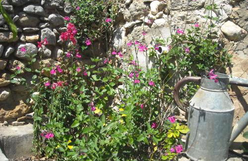 Les Gites du Mont Ventoux - Foto 58
