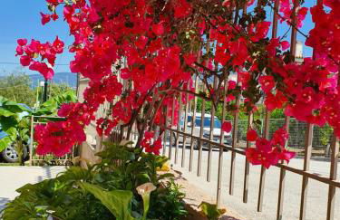 Helen of Troy House - Foto 76