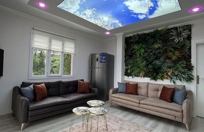 Dereli Suit Apart - Foto 18