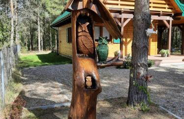 Domek Zielona Sowa - Foto 10