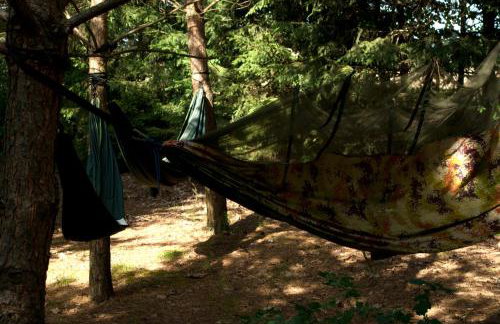 Dom z basenem nad Narwią - Foto 23