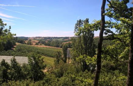 Domaine de Massoulac - Foto 29