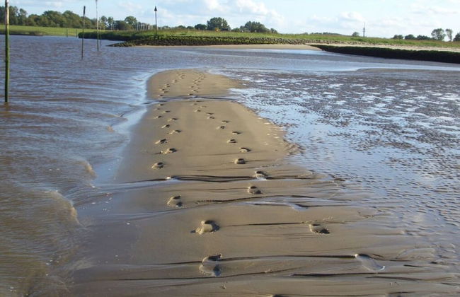 Seehund Comfortable Holiday Residence - Foto 2