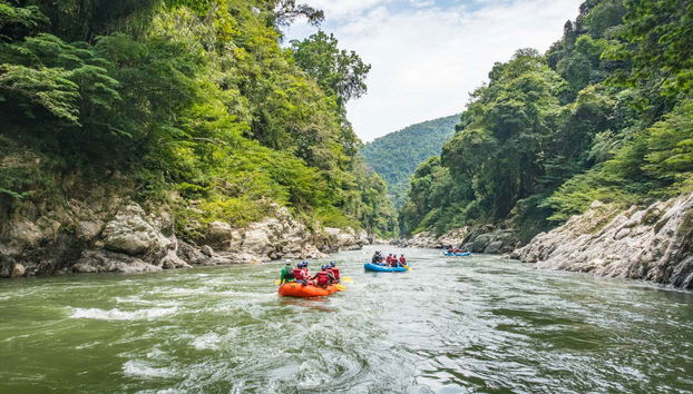 Descendo o rio Verde