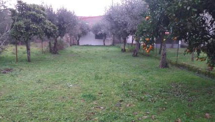 Casa do Adro - Foto 2, Garden