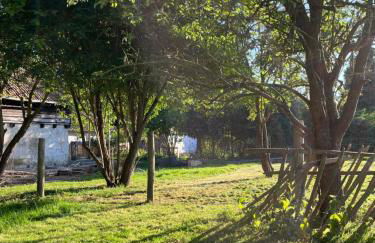 Ferienhaus in Buller&Bü - Foto 23