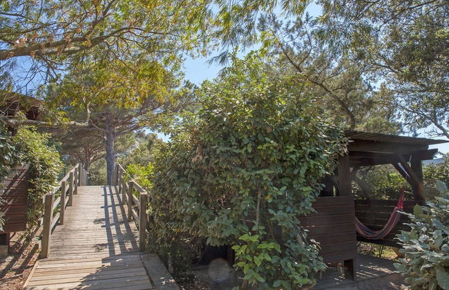 Residence Moby Dick - Foto 30