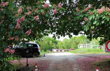 Filmschiff ERBSE - Foto 20