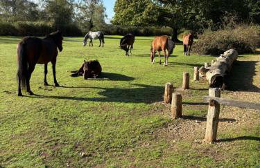 Swallows Retreat - Foto 23