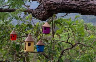 Cabanas da Mata - Cabana Flamboyant - Casa Branca - Foto 34