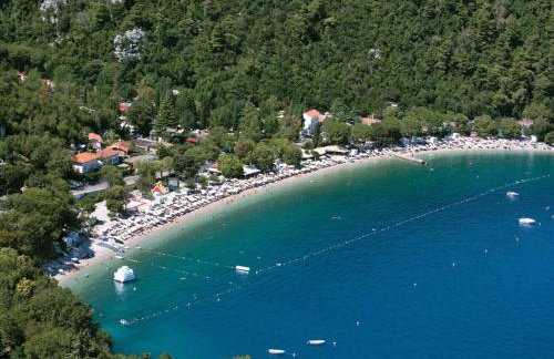 Apartment Alba - Photo 50