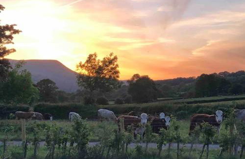 Spacious Cottage - Sleeps 4 - in the Black Mountains - Photo 51