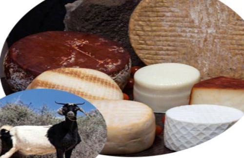 Villa Madelia - Photo 51