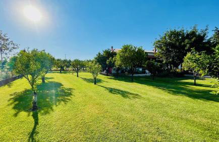 Villa Irene Pisticci-Matera - Photo 24