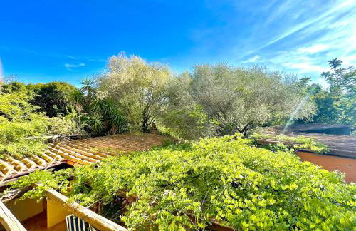 Villa Teresa Apartments - Foto 40