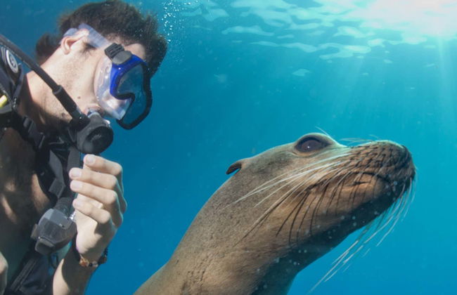 Plongée avec les otaries à Punta Loma - Photo 1