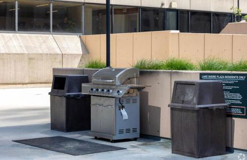 Streeterville Studio w Gym Pool nr Navy Pier CHI-410 - Foto 15