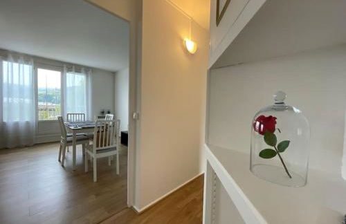 Rouen Port de plaisance et MIN - Appart lumineux - Foto 6