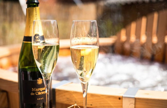 Serene Holiday Home in Haaksbergen With Hottub - Foto 12