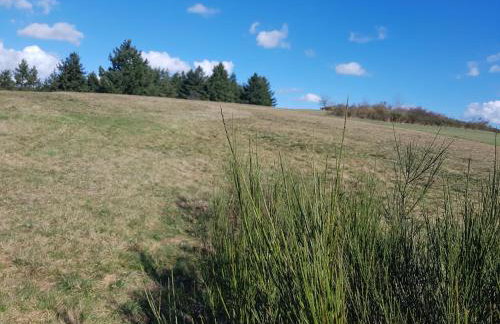 Ferienwohnung am See - Foto 31