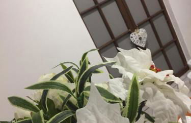 Il Ghiretto Appartamento - Photo 32