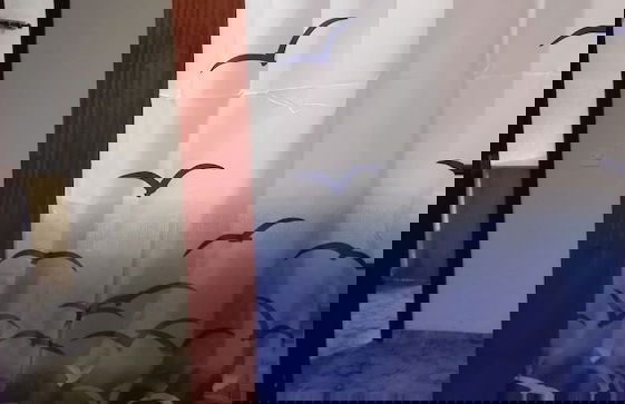 Apartamentos Guardamar del Segura - Foto 9