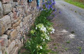 Gîte Paimpol Le Poullou - Photo 46