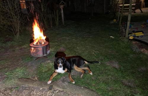 Ferienwohnung Friesenstube - Foto 34