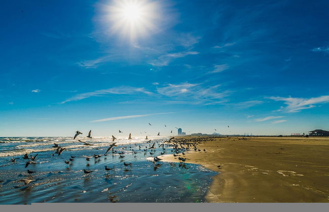 Blue Horizon in Galveston - Foto 33