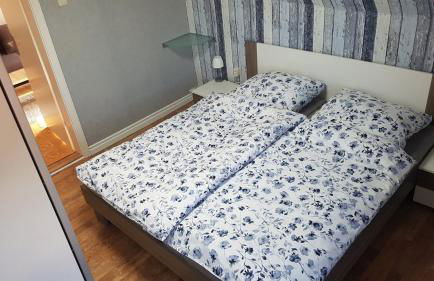 Seehund-Lilly - Foto 1