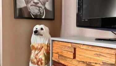 Auszeit Chemnitz - Foto 2