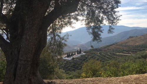 Jardin Andaluz veleta - Foto 3