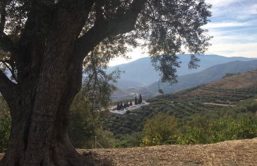 Jardin Andaluz veleta - Foto 3