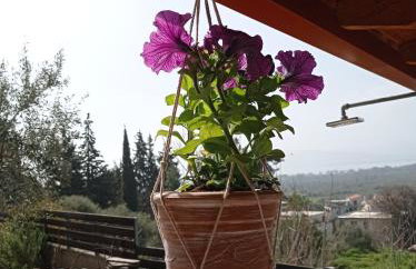 Villa Achinos - Foto 24