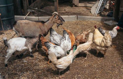 Villa Lolù - Photo 72